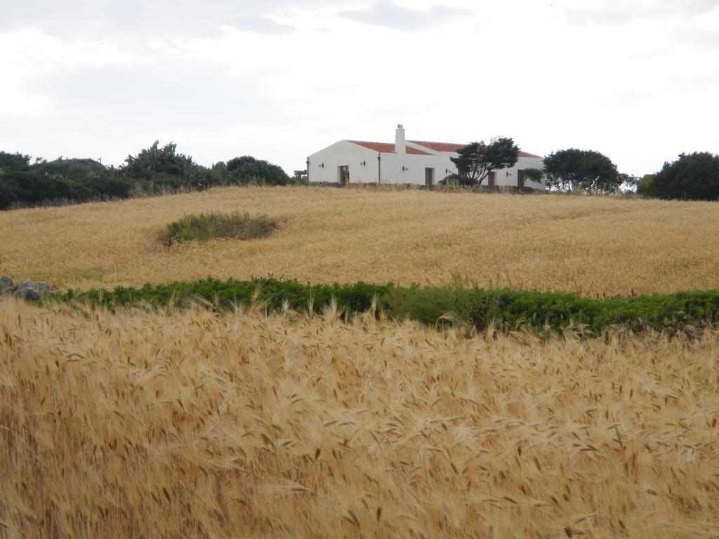 Monte Atena B&B Di Charme 斯廷蒂诺 外观 照片